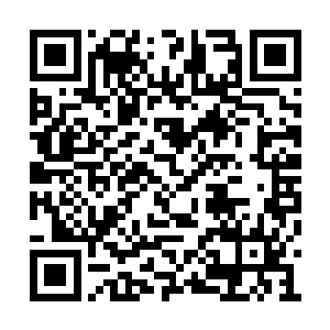 因为这姓钱的就是他通过人介绍给佑哥儿认识的二维码生成