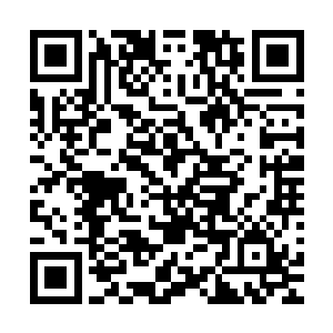 因为这完美解释了寂虚岭外围为什么时常会出现好东西的原因二维码生成
