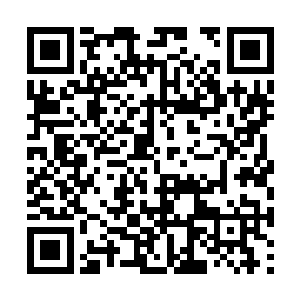 因为这支球队里有几个不能够以常理度之的……逗二维码生成