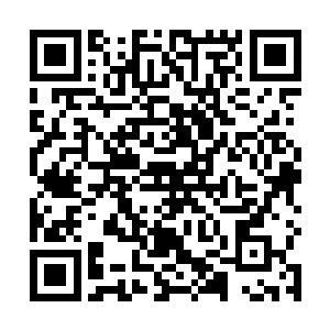 因为这时候迷雾漩涡已经变成了淡金色有若实质的东西二维码生成