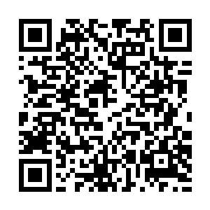 因为这时躲在角落里的瞎子已然一个q踢到了陈诚脸上二维码生成