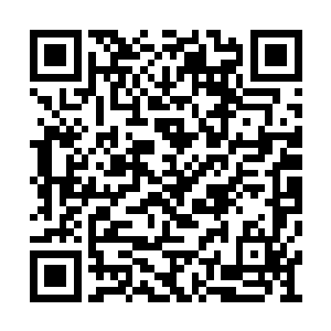 因为这是上古年间的那只圣羽虎皇蜕下来的虎皮二维码生成