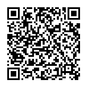 因为这是很有可能发生的……眼前的这只蛇形海兽绝对可以做得到二维码生成