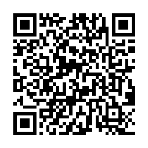 因为这是直承仙界的真实界或来源于太古的洪荒碎片二维码生成