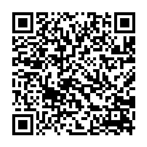 因为这样做的人早就因为实力赶不上轮回任务难度的提升而死亡了二维码生成