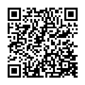 因为这样收保护费的事情他在学院中可是做过很多次了二维码生成