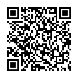 因为这根本不是去捕鱼而是带着整船的人去送死二维码生成