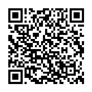 因为这次拍卖会上出现的炼器材料已经有数种了二维码生成