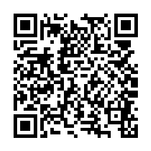 因为这群白狐狸姑娘正背对着她在悬崖上站成一排二维码生成