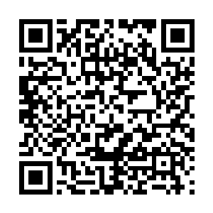 因为这腿伤大小姐的脾气越来越……大小姐可快快好了吧二维码生成