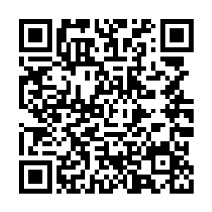 因为这表示它们接下来都得自己动脑子解决问题二维码生成