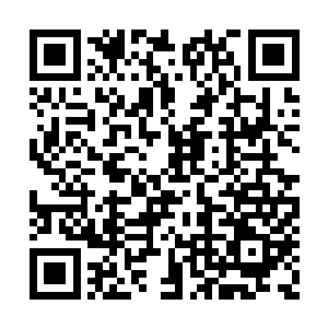 因为这让我意识到我有多不成熟……不管怎么说二维码生成