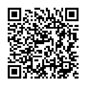 因为这酒不是从国内市面上的经销商或者专柜店买来的二维码生成