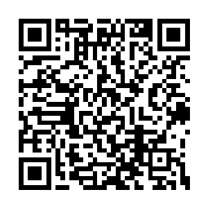 因为这里也将会成为我麾下疆域的重要组成部分二维码生成