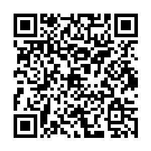 因为这里居住着圣后娘娘最宠爱的唯一的那名女儿二维码生成