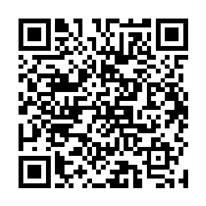 因为这里是西域诸国前往璃城甚至前往中原的必经之路二维码生成