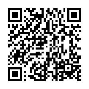 因为这里未来将会是我们集团大型产业青年城的发展地二维码生成