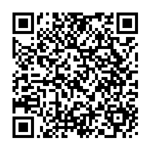 因为这里的灵气比起外界的灵气来更加的浓郁更加的精纯十倍以上二维码生成