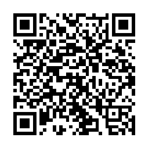 因为这里的随便拿出一件东西的品级都在中级仙器以上二维码生成