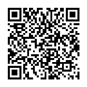因为这鸿蒙紫气乃是龙傲天留在四极印之中的最后一道防线二维码生成