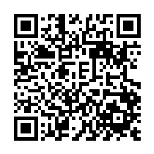 因为进原始森林之前爷爷将她身上所有的东西都搜刮走了二维码生成