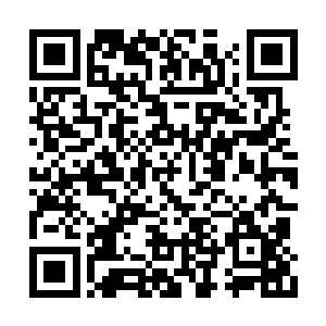 因为连夜赶路而很是疲惫的高扬拿出了他的步枪二维码生成