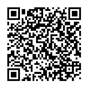 因为邓玮的五官恢复就好像是一个作画的人在人脸上不断的画着线条二维码生成