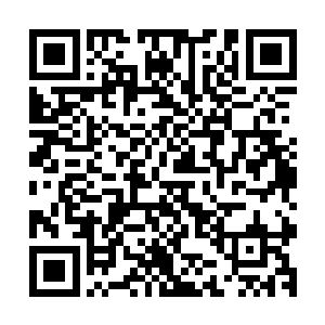 因为那一场战斗最早的导火索便是因为秦宇和仓泽之间的恩怨二维码生成
