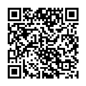 因为那个东西仿佛是要撑破那看起来并不结实的内裤二维码生成