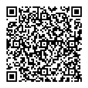 因为那个人正是监控画面中此时正操控着机甲与机甲战队的人战斗的那名最为强大的机甲战士二维码生成