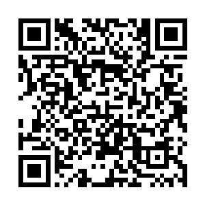因为那个时候丁长生肯定是觉得为蒋玉蝶冒险不值得了二维码生成