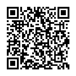 因为那个莉莉娅被带去进行最基本的步兵训练了二维码生成