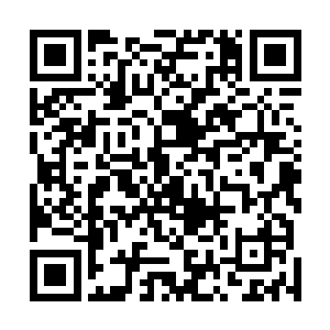 因为那些人都在全神贯注地盯着下面的两面角斗士在搏斗二维码生成