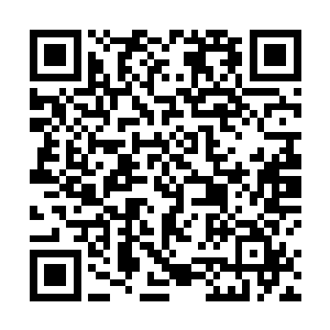 因为那从枪口射出的子弹竟然停在了枪口一厘米的地方二维码生成