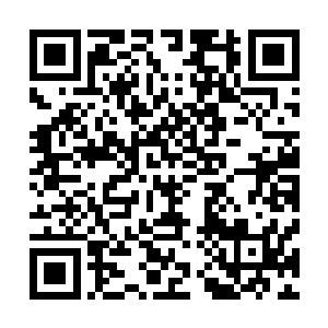 因为那样做的结果就只有一个……被这只蛇形海兽一口吞掉二维码生成