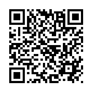 因为那片原本只是在平地上的竹林二维码生成