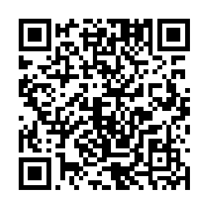 因为那种九级丹药在九级丹药当中是最普通的一种二维码生成