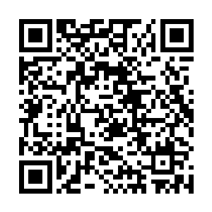 因为郭李很有可能会继承主任在医学方面的人脉和势力二维码生成