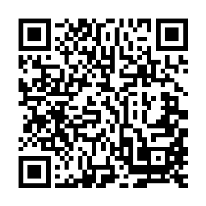 因为里面的确蕴含着龙神哈特森堕落成邪龙领主之前的神之本源二维码生成