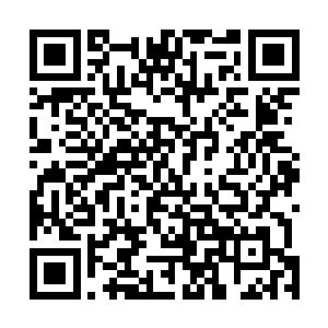 因为野狼山谷还有噬金蟒这种超级魔兽的残留气息做威慑二维码生成