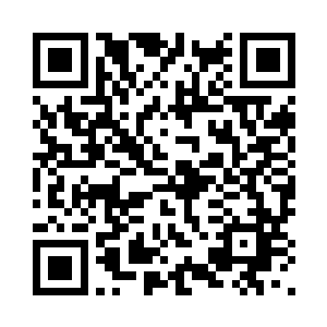 因为金属制成的傀儡武士不会流血二维码生成