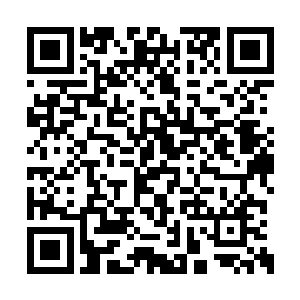 因为金风岩妻子的这种默默为闻春意着想的做法二维码生成