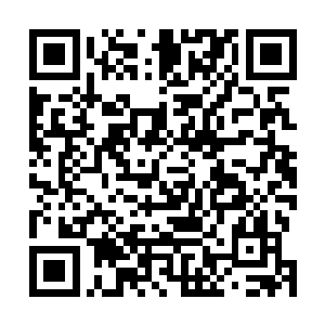因为错过了离开的机会或者其他原因等等而暂时留在这里二维码生成