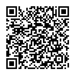 因为闪过的其它解读都太过残忍了……奥尔想自己始终是贪恋美好事物的二维码生成