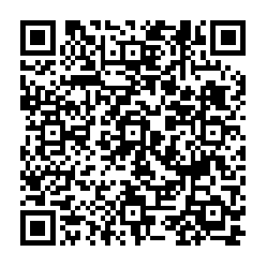 因为陈八两也说过原本那芭蕉林也许就是当年那个风水大师朱白布下的一个辅阵之物二维码生成