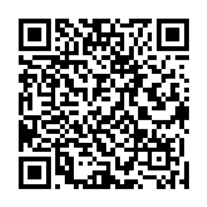 因为陈太仙的太仙御法已经把所有的纳灵法抵挡在了外围二维码生成
