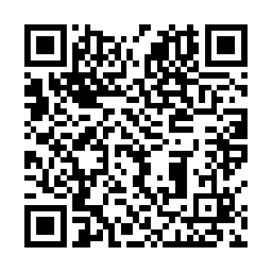 因为陈灵素走的方向根本就是往自己家金瓯小区而去的二维码生成