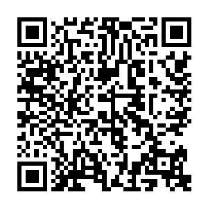 因为除了体质特殊之外他目前比其他修真者来说似乎没有什么别的亮点了二维码生成
