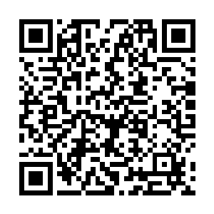 因为随着林封谨对自己的妖命之力的深入了解后就知道二维码生成