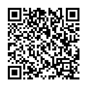 因为雨果拥有他们所不具备的演技天赋和艺术属性二维码生成